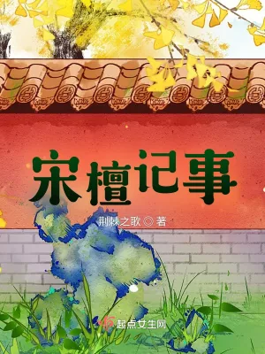《宋檀记事》小说封面