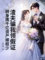 《渣夫骗我领假证，转身携千亿资产嫁权少》小说封面