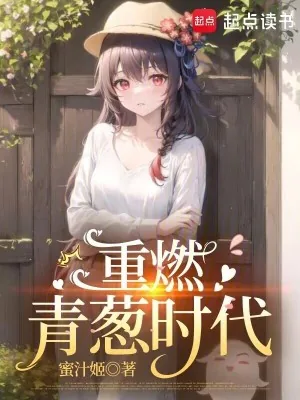 《重燃青葱时代》小说封面