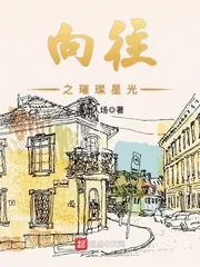 《向往之璀璨星光》小说封面