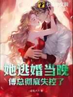 《她逃婚当晚，傅总彻底失控了》小说封面