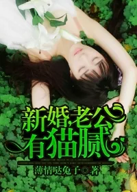 《新婚，老公有猫腻》小说封面