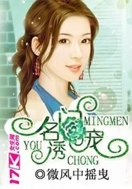 《宠妻不悔》小说封面