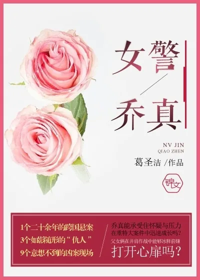 《女警乔真》小说封面