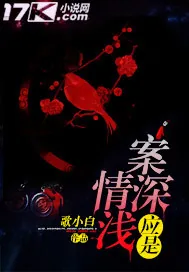 《应是案深情浅》小说封面