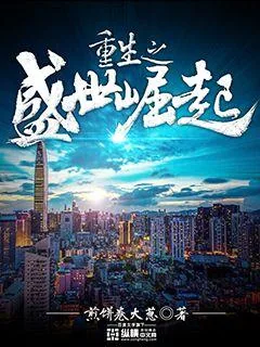 《重生之盛世崛起》小说封面