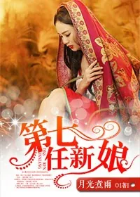 《第七任新娘》小说封面