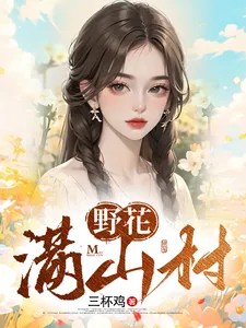 《野花满山村》小说封面
