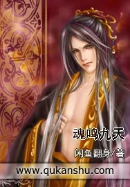 《魂鸣九天》小说封面