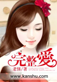 《完整爱》小说封面