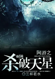 《网游之杀破天星》小说封面