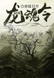 《龙魂令》小说封面