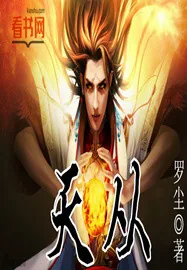 《天从》小说封面