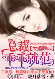 《大婚晚成：总裁乖乖就范！》小说封面
