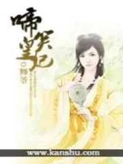《啼笑皇妃》小说封面