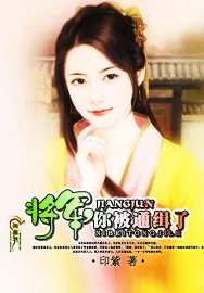 《将军,你被通缉了》小说封面