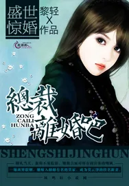 《盛世惊婚：总裁，离婚吧》小说封面