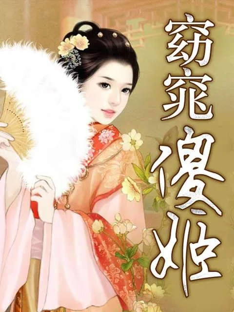 《窈窕傻姬》小说封面