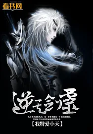 《逆天剑灵》小说封面