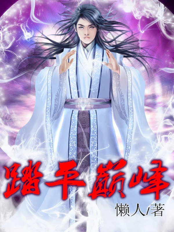 《踏平巅峰》小说封面
