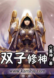 《双子修神》小说封面
