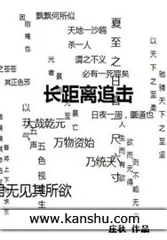 《长距离追击》小说封面