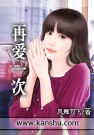 《再爱一次》小说封面