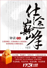 《仕途巅峰》小说封面
