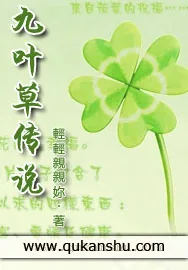《九叶草传说》小说封面