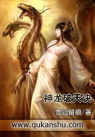 《神龙破天诀》小说封面