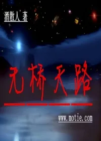 《无桥天路》小说封面