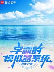 《学霸的模拟器系统》小说封面