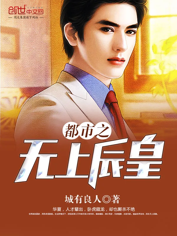 《都市之无上辰皇》小说封面