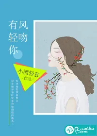 《有风轻吻你》小说封面