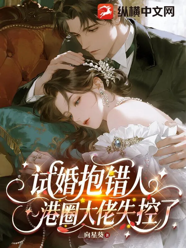 《试婚抱错人，港圈大佬失控了》小说封面