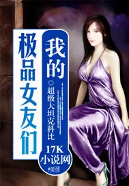 《我的极品女友们》小说封面