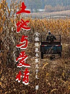 《土地与爱情》小说封面
