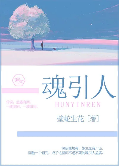 《魂引人》小说封面