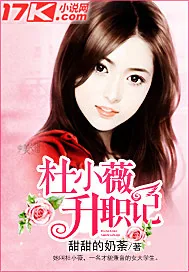 《杜小薇升职记》小说封面