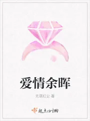 《爱情余晖》小说封面