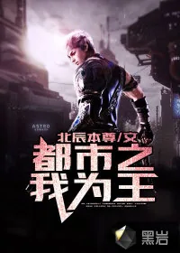 《都市之我为王》小说封面