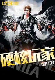 《硬核玩家》小说封面