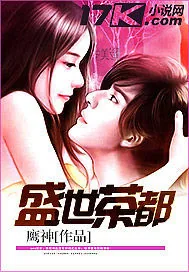 《盛世茶都》小说封面