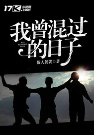 《我曾混过的日子》小说封面