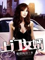 《上门女婿》小说封面