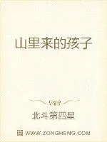 《山里来的孩子》小说封面