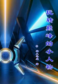 《玩转巅峰的小人物》小说封面