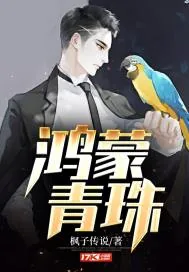 《鸿蒙青珠》小说封面
