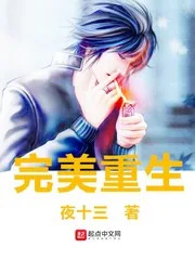 《完美重生》小说封面