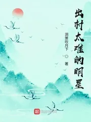 《出村太难的明星》小说封面